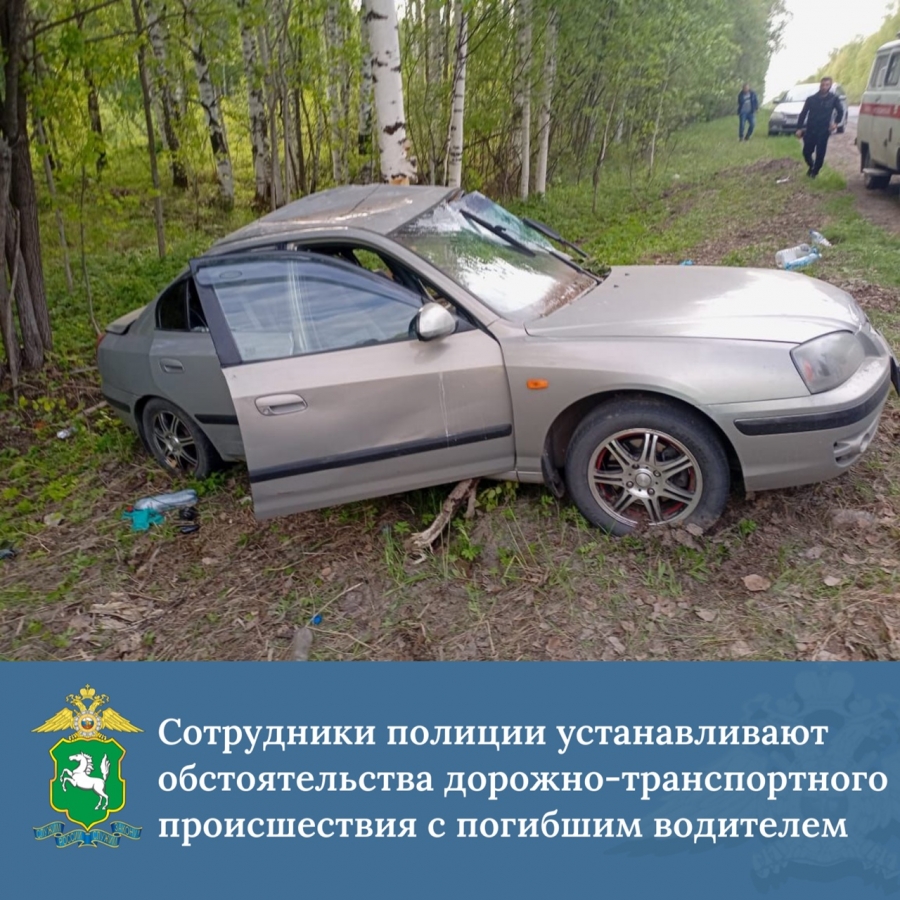 На трассе Томск - Самусь произошло смертельное ДТП